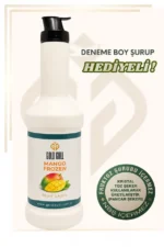 Mango Aromalı Meyve Püresi (%50 Meyve İçerir)